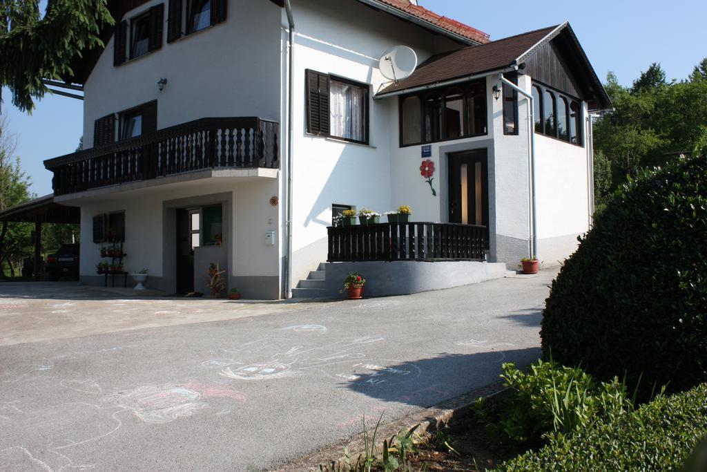 Apartment Jelena Selište Drežničko Rom bilde