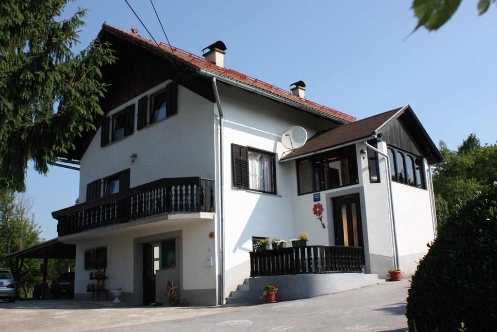 Apartment Jelena Selište Drežničko Rom bilde