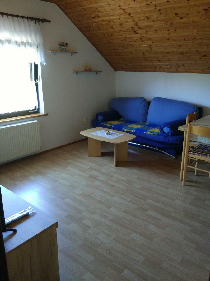 Apartment Jelena Selište Drežničko Eksteriør bilde